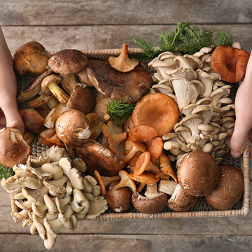 Paddenstoelen